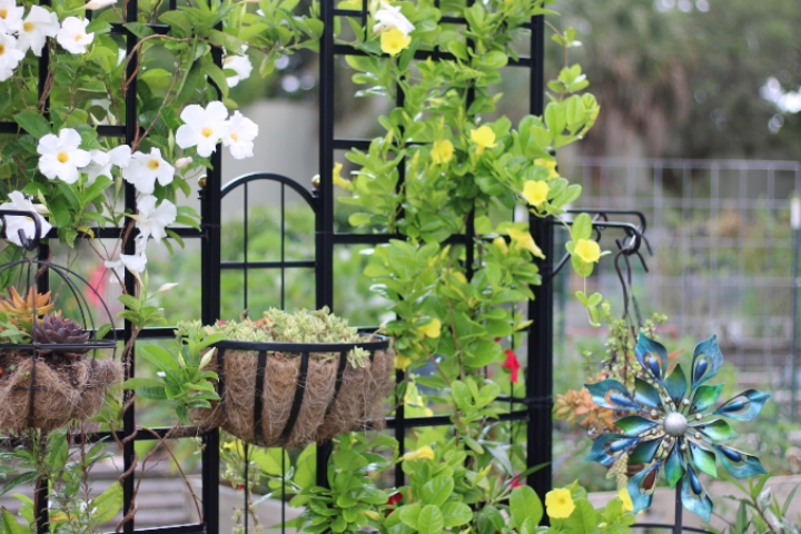 steps in diy garden